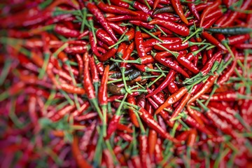 Naklejka premium Red chili peppers, closeup view