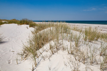 Biggest dune in Poland, Baltic shore in Leba. White sand beach.