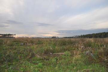 Landscape night in the field
