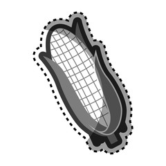 corn vegetable isolated icon vector illustration design