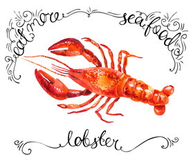 watercolor lobster