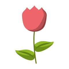 tulip flower decoration easter vector illustration eps 10