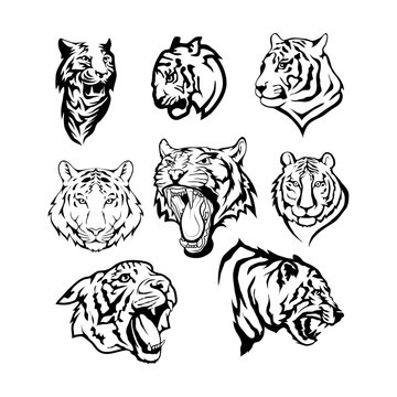 Tigers set
