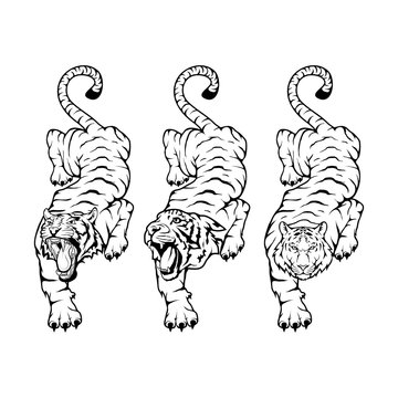 Tigers set