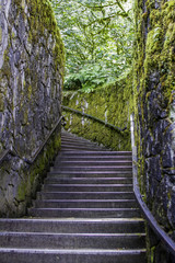 Vintage Pathway Stairs