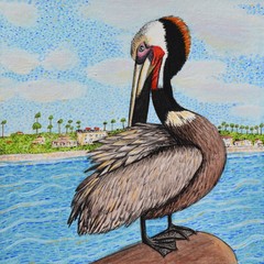 Pelican at Oceanside Pier