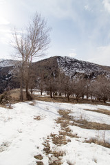 Nature in the Tien Shan mountains in winter. Kazakhstan