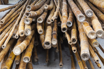 Caña de Bambú