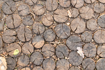 with wooden frame road