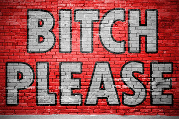 Bitch Please Ziegelsteinmauer Graffiti