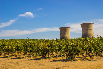 Inactive Nuclear Smokestacks Behind Grape Vineyard