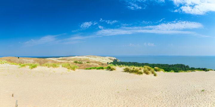 Panoramic view on dunes of the Curonian spit. This place to the highest drifting sand dunes in Europe. Nida, Lithuania.