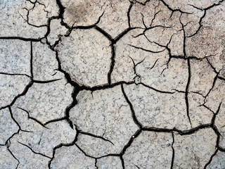 NATURE'S PATTERNS