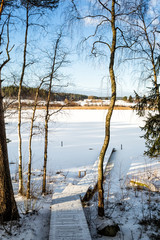 Sunny winter in Karelia
