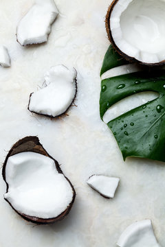 Open Coconut Scene with Palm Leaf