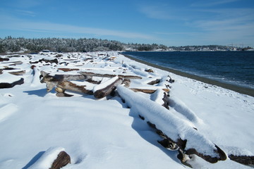 Remains of Drift Wood Structure Covered in Snow