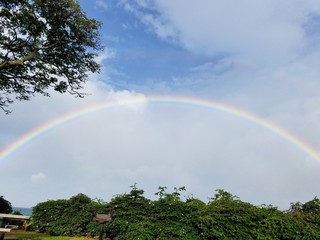 maui rainbow
