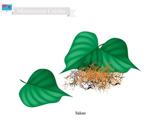 Sakau or Piper Methysticum with Roots, Plant of Micronesia - obrazy, fototapety, plakaty
