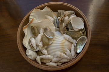 a bowl of sea shells