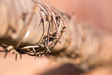 barbed wire on tube