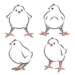 Vector Illustration Of A Baby Bird From Four Angles