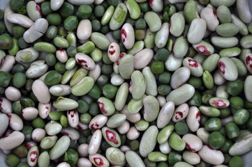 Young fruits of different varieties of beans