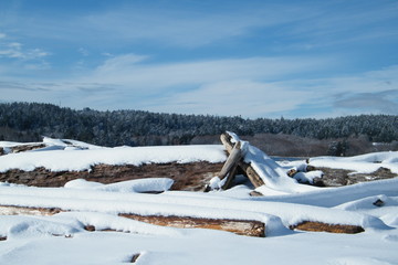 Fototapeta premium Driftwood Shelter Covered in Snow