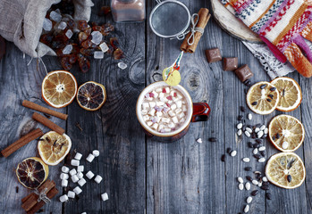 Fototapeta na wymiar cup of cocoa with marshmallows