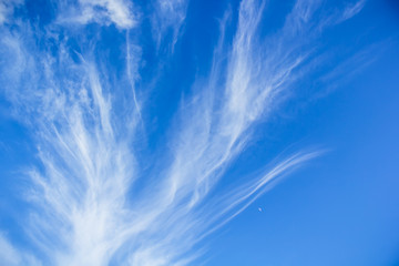 White clouds in the blue sky. Sun light
