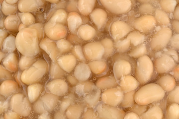 A very close view of organic navy beans.