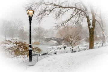 No drill roller blinds Central Park New York City Central Park in snow