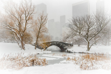 New York City Central Park in snow