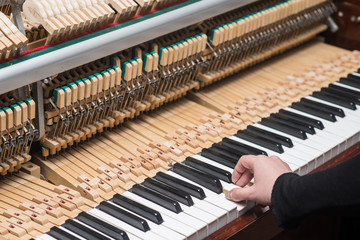 hand with vintage piano hammer mechanism. Prepare to repair