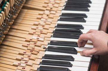 hand with vintage piano hammer mechanism. Prepare to repair