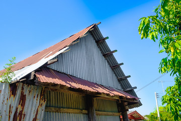 old rusty galvanized sheet (zinc sheet) building with green tree