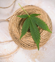 Detail of hemp fiber twine and cannabis leaf over white
