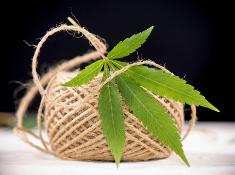 Detail Of Hemp Fiber Twine And Cannabis Leaf