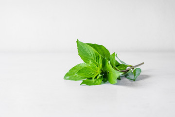 Sweet Basil Leaf (Ocimum basilicum Linn)