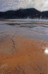 Yellowstone