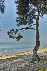 Beach of Ormos Prinou, Thassos island, East Macedonia and Thrace, Greece 