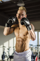 Fototapeta na wymiar Attractive shirtless young man with boxing gloves, looking at camera