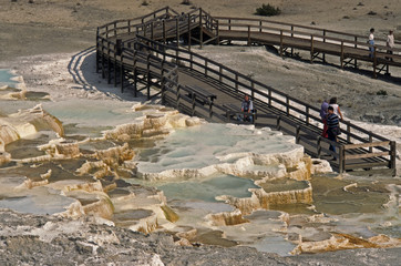 Yellowstone
