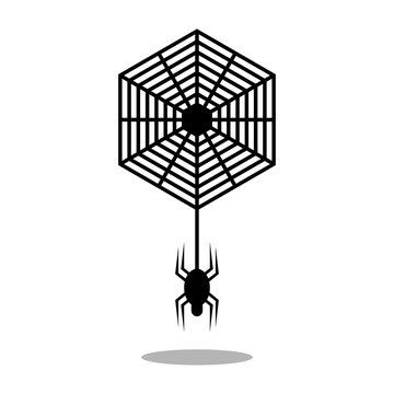 Spider web and spider vector icon