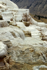 Yellowstone