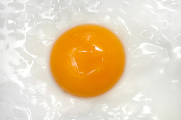 Fried Egg