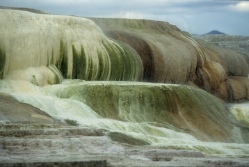 Yellowstone