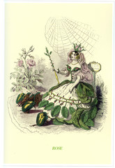 Illustration / Les fleurs animées de Grandville / Rose