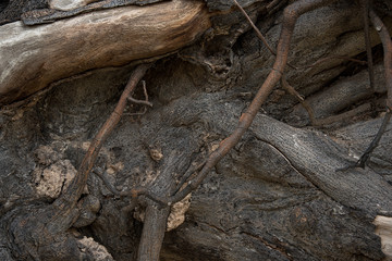 Old wood texture background