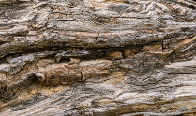 Old wood texture background
