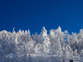 雪山